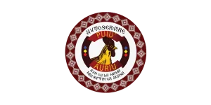 Puiu Auriu